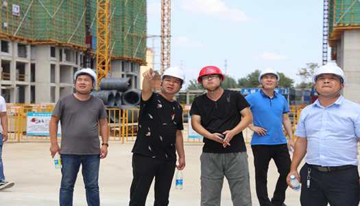 意昂集团官网董事会巡检圆满完成